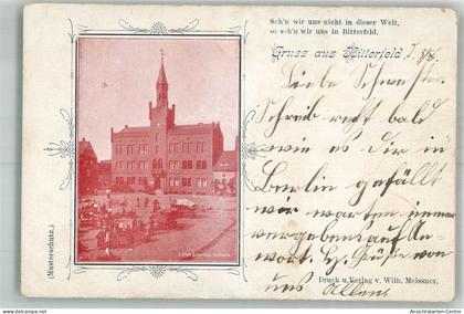 14009218 - Bitterfeld