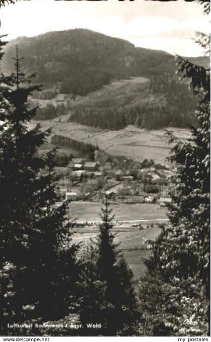 Bodenmais Regen Bayern Bodenmais