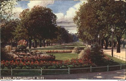 Bonn Rhein Bonn Poppelsdorfer Allee
