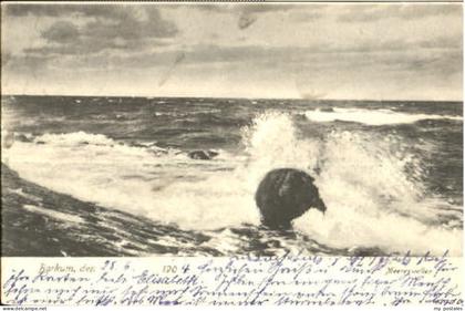 BORKUM Nordseebad Niedersachsen Wellen x 1904