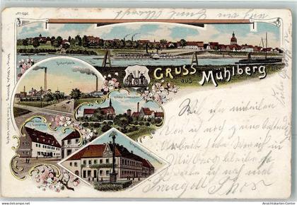 13621468 - Muehlberg , Elbe