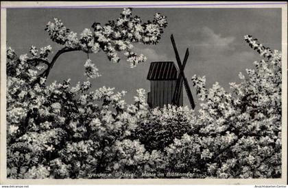 50342004 - Werder (Havel)