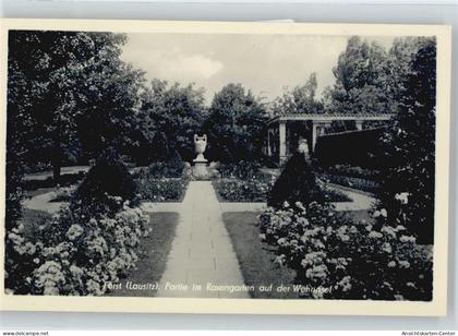 50631977 - Forst (Lausitz)