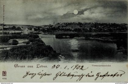 Clair de lune CPA Lebus an der Oder, Gesammtansicht