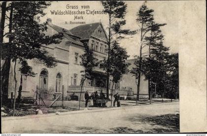 CPA Tiefensee Werneuchen in der Mark, Gasthaus Waldschlösschen