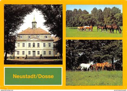 Neustadt/Dosse VE Hauptgestüt ngl #169.061