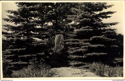 Photo CPA Krieschow Kolkwitz im Spreewald Niederlausitz, Gedenkstein