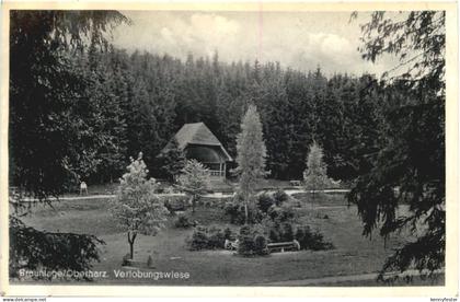 Braunlage - Verlobungswiese