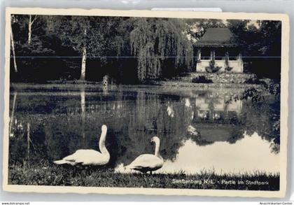 50825001 - Senftenberg