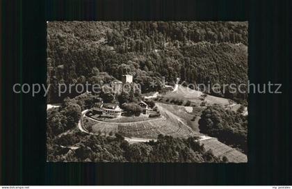 Buehl Baden Fliegeraufnahme Burg Windeck