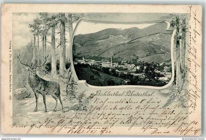 13520757 - Buehlertal