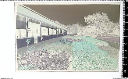 31004979 - Buehlertal