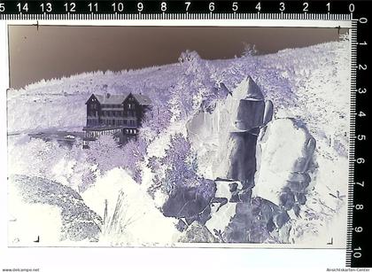 31004995 - Buehlertal