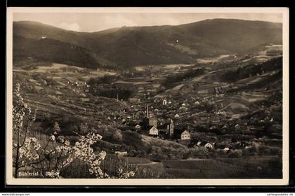 AK Bühlertal, Panoramaansicht