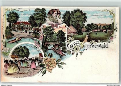 13199841 - Burg , Spreewald