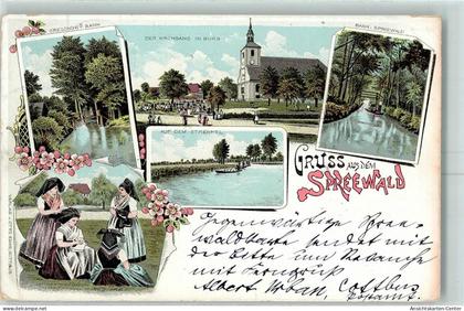 13420428 - Burg , Spreewald