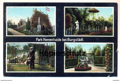 ALTE POSTKARTE PARK HERRENHAIDE BEI BURGSTÄDT BARBAROSSA-HÖHLE IRRGARTEN REH DEER CHEVREUIL Parque Parc postcard cpa AK
