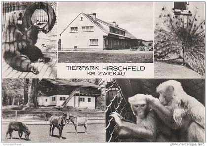 AK Hirschfeld Tierpark Kreis Zwickau Konsum Gaststätte Bärenschenke bei Kirchberg Wilkau Voigtsgrün Ebersbrunn Stenn DDR