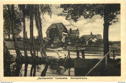 Cunewalde - Sachsenhöhe