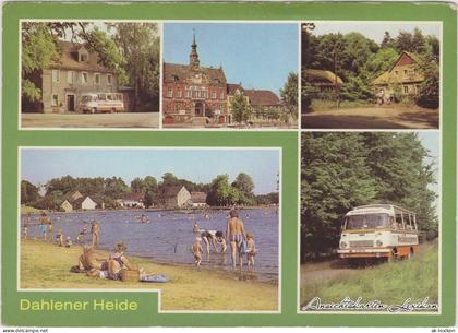 Ansichtskarte Dahlen Dahlener Heide 1982