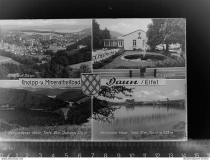 30062523 - Daun