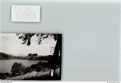 40040623 - Daun