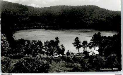 Daun Eifel Daun Gemuender Maar