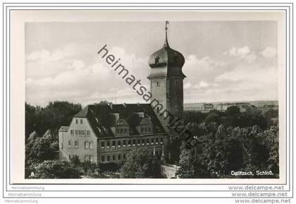Delitzsch - Schloss - Foto-AK