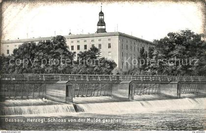 Dessau-Rosslau Herzogliches Schloss