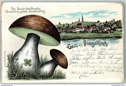 13439460 - Dingolfing