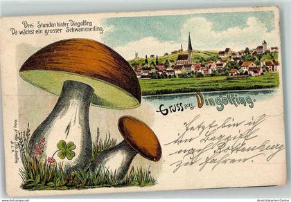 13458152 - Dingolfing