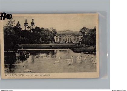 50199936 - Donaueschingen