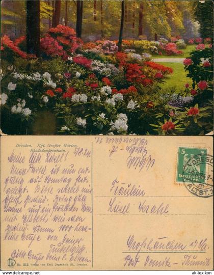 Großer Garten-Dresden Kgl. Grosser Garten. Rhododendronhain.Photochromie 1924