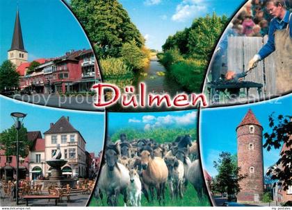 Duelmen Brunnen Turm Grillplatz Pferde Marktplatz