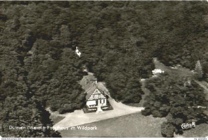 Duelmen orsthaus Park Fliegeraufnahme x 1971