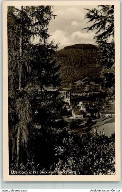 10428174 - Eberbach , Baden