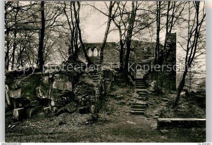Eberbach Neckar Burg Ruine Eberbach