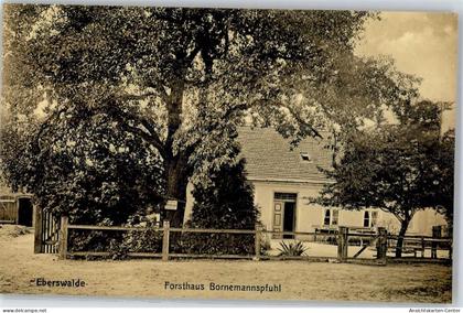 51544519 - Eberswalde