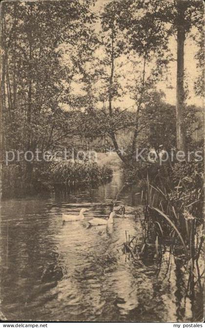 Eberswalde Partie am Bachsee