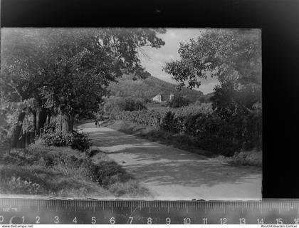 30060968 - Edenkoben