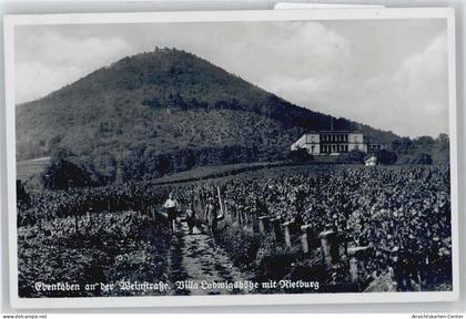 50425641 - Edenkoben