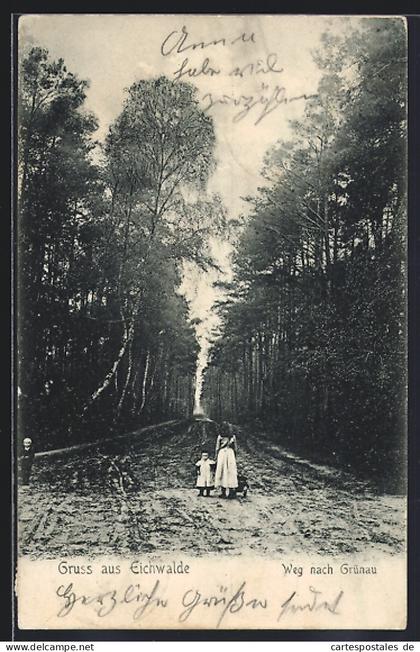 AK Eichwalde, Weg nach Grünau