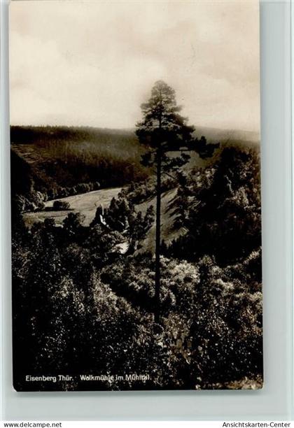 11021917 - Eisenberg , Thuer