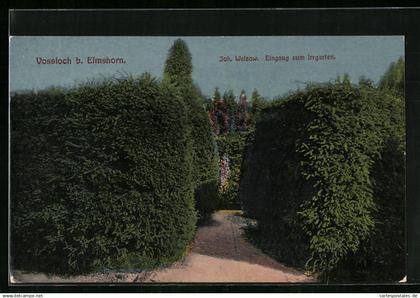 AK Vossloch b. Elmshorn, Joh. Welzow, Eingang zum Irrgarten