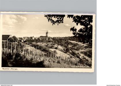 50292728 - Rauenthal , Rheingau