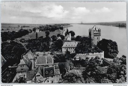 50560588 - Eltville am Rhein