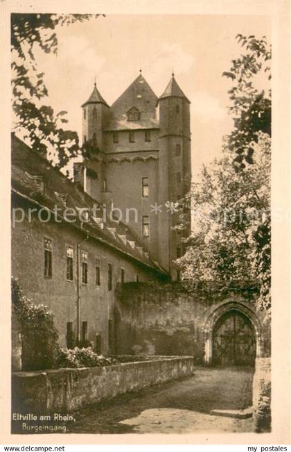 Eltville Rhein Burgeingang