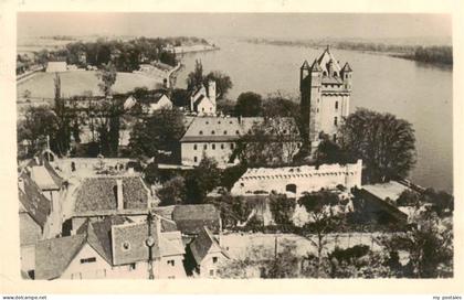 Eltville Rhein Panorama