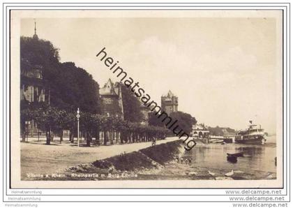 Eltville - Rheinpartie mit Burg Eltville - Foto-AK