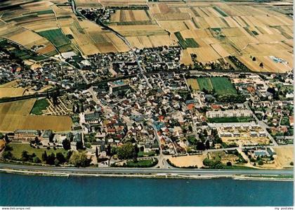 Erbach Rheingau Eltville Hessen Rhein Rheingau Weinberge Felder Wohnhaeuser Luft